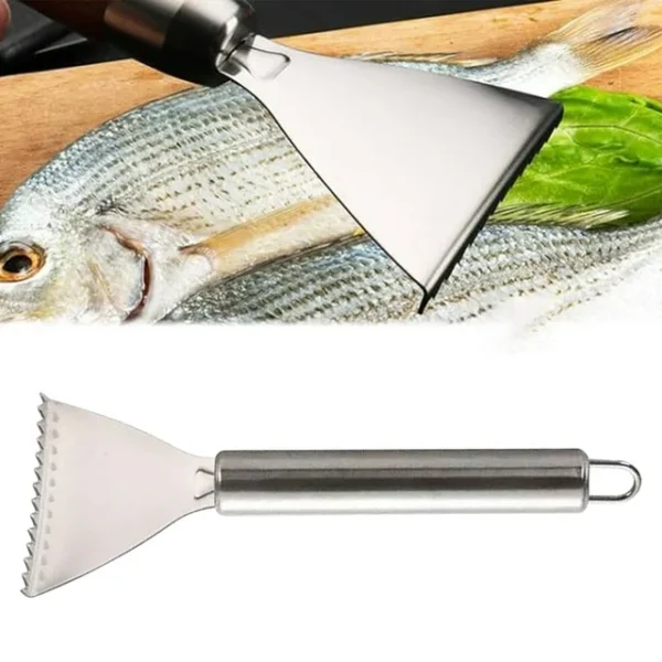 KitchenAxis 304 Stainless Steel Scraping & Planing Tool – Multi-Purpose Household Peeler & Scraper - Image 3